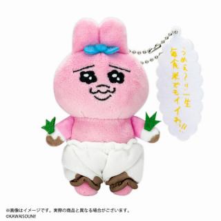 【おぱんちゅうさぎ】【A毎食米でもいいわっ!!】おぱんちゅうさぎ セリフ付きマスコットぬいぐるみ vol.1