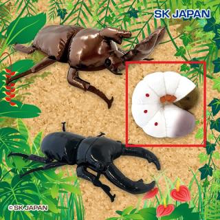【Bカブトの幼虫】超リアル！カブトVSクワガタMB3