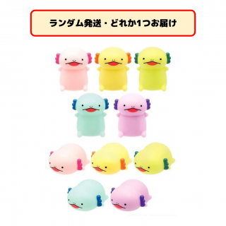 【セット配送】【ランダム発送(種類選択不可)】ぷかぷかウーパールーパー