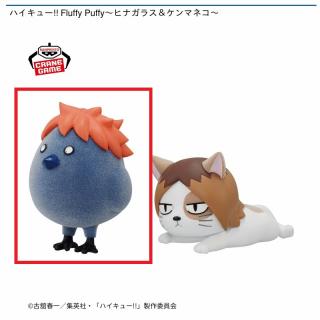 【ハイキュー!!】【Aヒナガラス】ハイキュー!! Fluffy Puffy～ヒナガラス＆ケンマネコ～