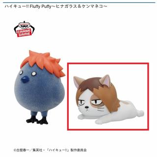 【ハイキュー!!】【Bケンマネコ】ハイキュー!! Fluffy Puffy～ヒナガラス＆ケンマネコ～