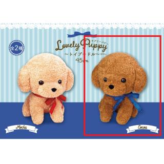 【B:Cocoa(青リボン)】Lovely Puppy～トイプードル～45cm