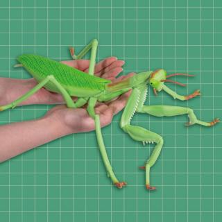 リアルBIGサイズフィギュア カマキリ