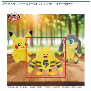 【ポケットモンスター】【Bエレキッド】ポケットモンスター カラーセレクションぬいぐるみ～yellow～