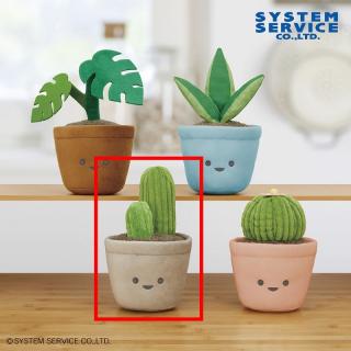 【FANS】【C柱サボテン】FANS 観葉植物ぬいぐるみBIG