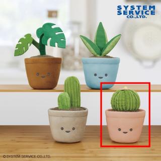 【FANS】【D玉サボテン】FANS 観葉植物ぬいぐるみBIG