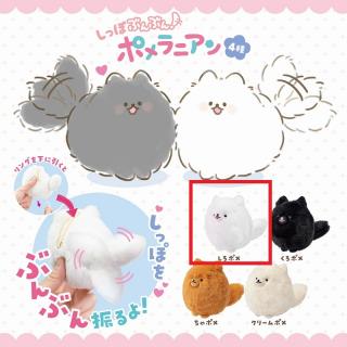 【Aしろポメ】しっぽぶんぶん！ポメラニアン