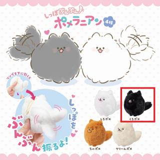【Bくろポメ】しっぽぶんぶん！ポメラニアン