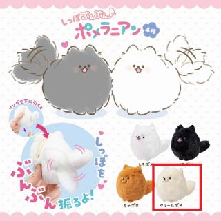 【Dクリームポメ】しっぽぶんぶん！ポメラニアン