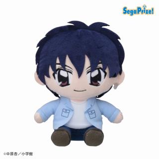 【きらりんレボリューション】【C風真宙人】きらりん☆レボリューション ぬいぐるみ（EX）