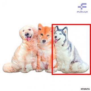 【Cシベリアンハスキー】リアル犬クッション