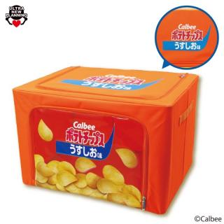 【Aポテトチップスうすしお味】Calbee 窓付き収納ケース