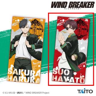 【WIND BREAKER】【B蘇枋隼飛】『WIND BREAKER』　ビジュアルBIGタオル