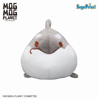 【MOGMOG PLANET】【Cシャチ】MOGMOG PLANET CUTE版 ぬいぐるみ（EX）