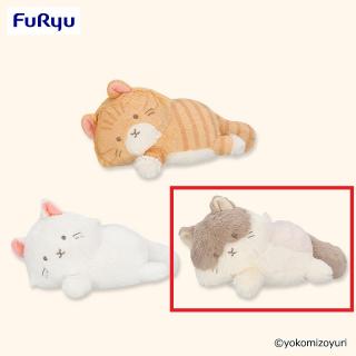 【なんでもいきもの】【Cはちわれ】なんでもいきもの ぬいぐるみ（ネコ）