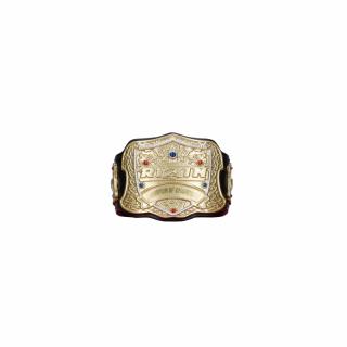 【RIZIN】【D:RIZINベルト】RIZIN ワールドコレクタブルフィギュア vol.2