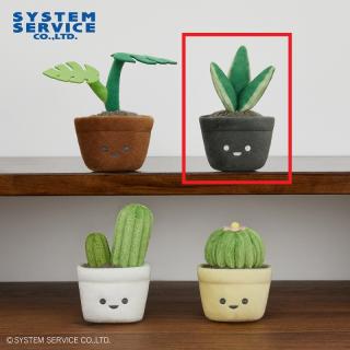 【FANS】【Bサンスベリア】FANS 観葉植物ミニぬいぐるみ
