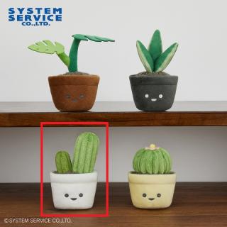 【FANS】【C柱サボテン】FANS 観葉植物ミニぬいぐるみ