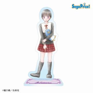 【学園アリス】【B:今井蛍】学園アリス　アクリルスタンド