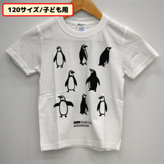 【DMMかりゆし水族館】【群れペンギン(白)】Tシャツ