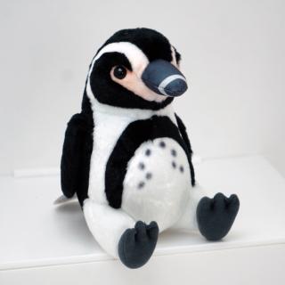 【DMMかりゆし水族館】【Aペンギン】おすわりシリーズ