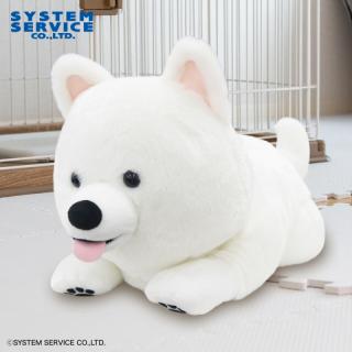 【FANS】FANS サモエドの子犬ぬいぐるみXL プレミアム