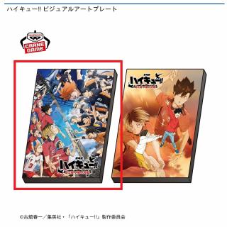 【ハイキュー!!】【A烏野高校VS音駒高校】ハイキュー!! ビジュアルアートプレート