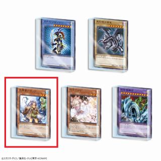 【遊戯王】【C水霊使いエリア】遊戯王カードゲーム　アクリルブロックVol.4