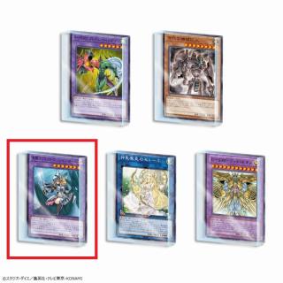 【遊戯王】【C:竜騎士ブラック・マジシャン・ガール】遊戯王カードゲーム　アクリルブロックVol.5