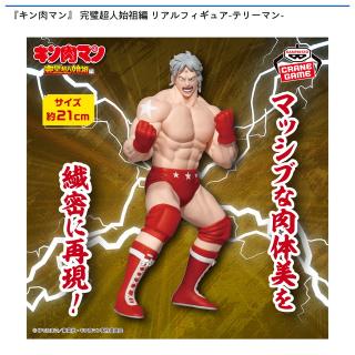 【キン肉マン】【テリーマン】『キン肉マン』完璧超人始祖編 リアルフィギュア-テリーマン-
